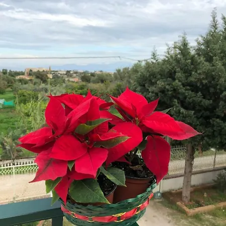 Casa Flavia